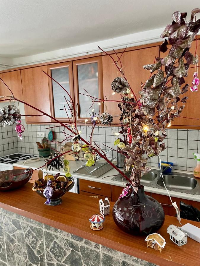 Apartma Pri Soci Apartment Bovec Luaran gambar